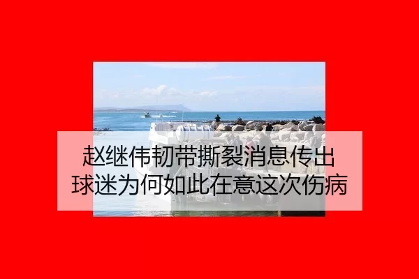 赵继伟韧带撕裂消息传出 球迷为何如此在意这次伤病